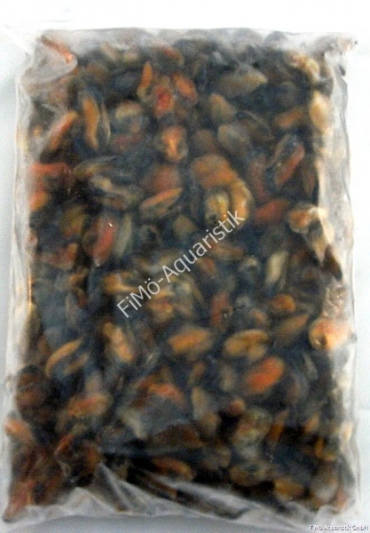 Muschelfleisch ganz (lose eingefroren) 1 KG