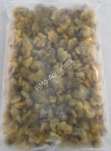 Herzmuscheln ganz (lose eingefroren) 500g Flat Pak
